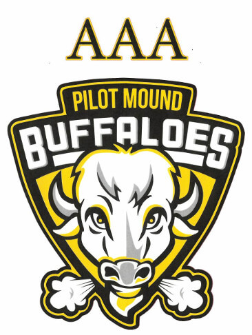 AAA Hockey Program - Pilot Mound Hockey Academy