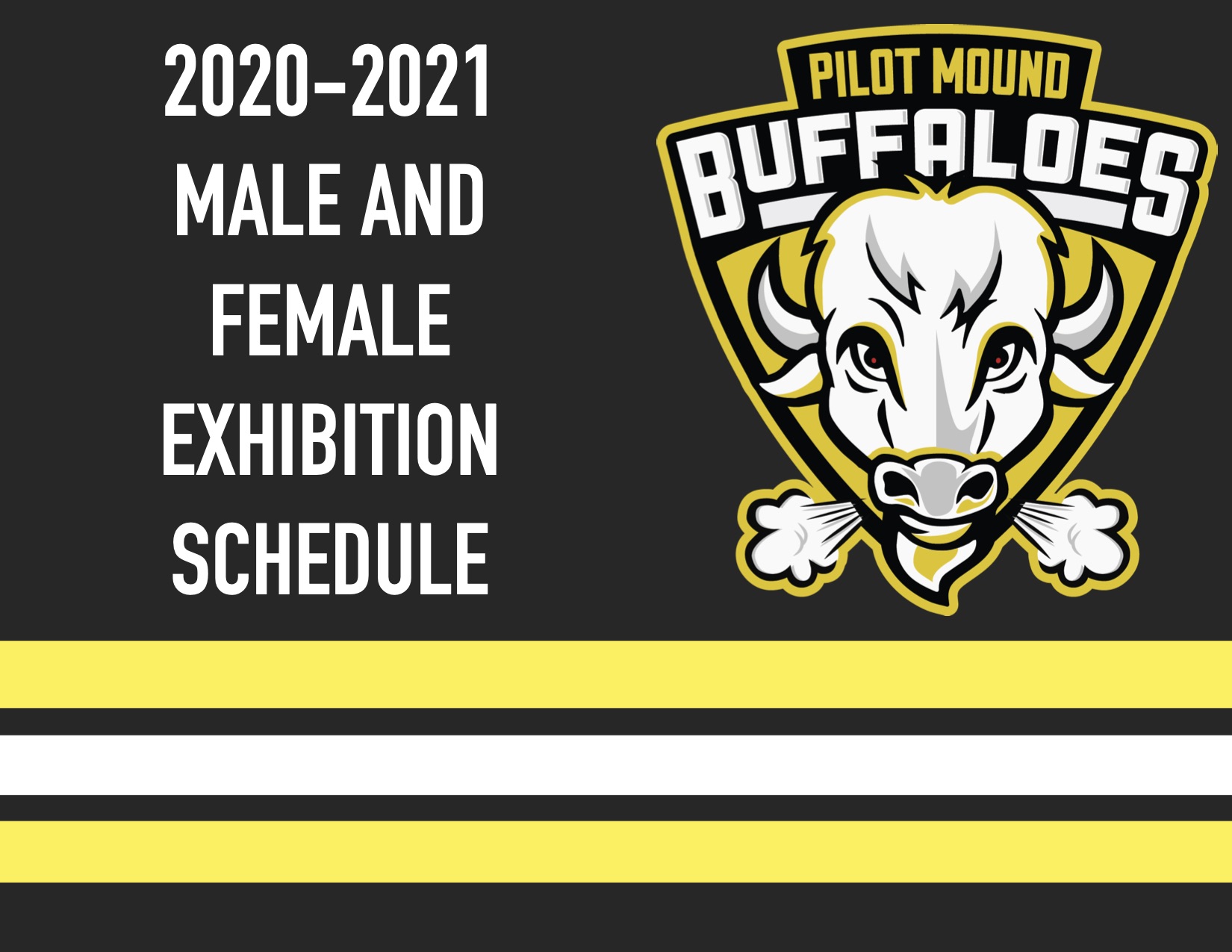 You are currently viewing PMHA Announces 2020-21 Exhibition Schedule