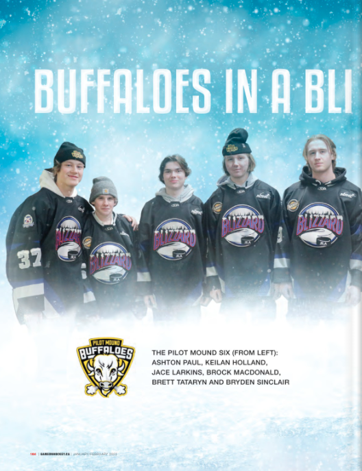 Read more about the article Buffaloes in a Blizzard