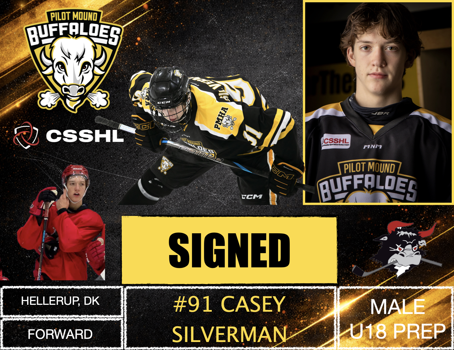 Read more about the article MALE ADVANCEMENT – CASEY SILVERMAN